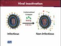 BT601 Virology Lecture No 227