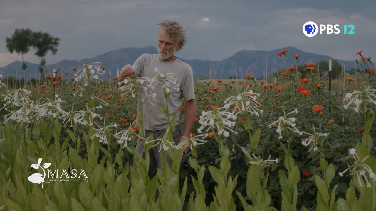 Growing Culture | Short Documentary by Drew Schettler | Featured on Studio Twelve
