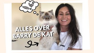 Alles over mijn kat Barry | Adopteren, tips & favs!