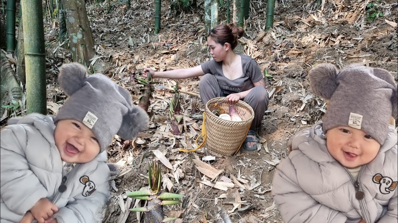 went to the forest to find bamboo shoots to sell at the market and sent ...