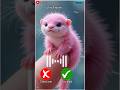Redmi 63 5G Phone Ringtone #tonetune #device #smartphone #mi13 #miphone #redmismartphone #shorts #mr
