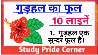 10 Lines On Hibiscus Flower In Hindi