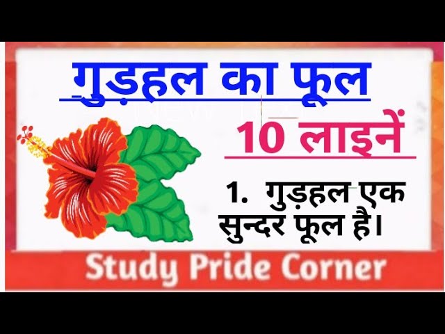 10 Lines On Hibiscus Flower In Hindi