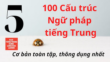 100 Cấu trúc Ngữ pháp tiếng Trung Cơ bản toàn tập, thông dụng nhất P5