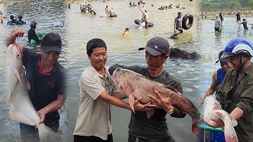 Thủy Điện Trị An Đóng Của Xả Tràn | Rất Nhiều Người Đổ Về Đây Để Bắt Cá Khủng
