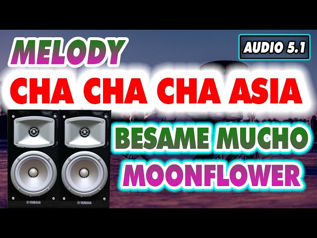 LK Cha Cha Cha ASIA HÒA TẤU Besame Mucho - Moonflower Âm Thanh Nổi 5.1 class=