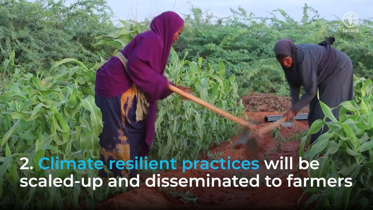 Still from Ugbaad: Cultivating Hope and Transforming Landscapes and Livelihoods in Somalia.