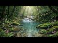 🍀 Beautiful Relaxing Music ✨ Deep Relaxation, Stress Relief & Inner Peace