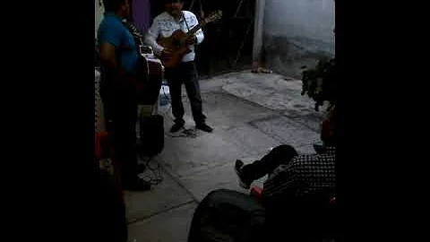 Rojelio  lopez lolez