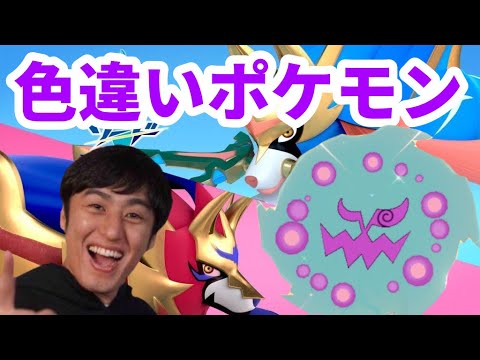 ポケモン剣盾 13 ダイパリメイク前に色違いミカルゲ探し 1651 Youtube