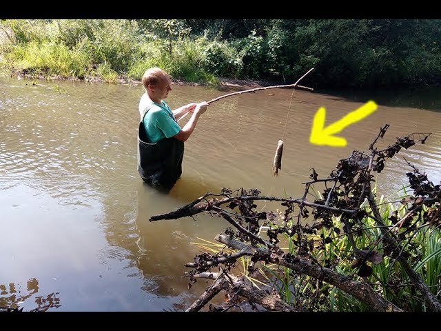 рогатка для bowfishing. рогатка для рыбалки. рыболовная рогатка боуфишинг с дротиками. рыбалка с рогаткой видео. рыбалка с рогаткой видео.