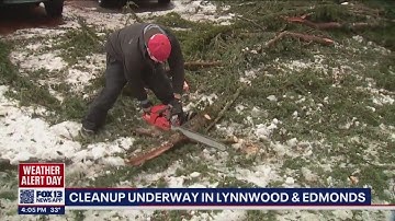Cleanup underway in Lynnwood and Edmonds after high winds took trees down | FOX 13 Seattle