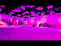 Bubble Planet!! #momlife kidsactivities  #feverambassador  #melbourne #videoshort #youtubevideo