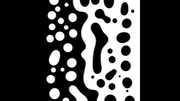 Phase Separation in 2D