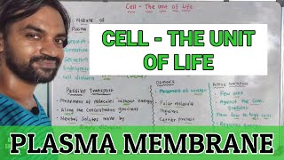 Cell - The Unit of Life | Plasma Membrane