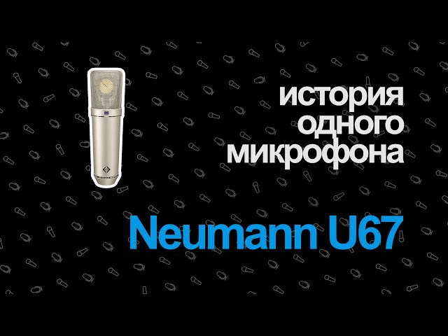 Студийный микрофон NEUMANN U67 Set