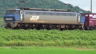EF200-16　遅8056レ　2013.06.22　琵琶湖線