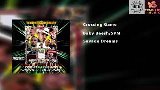 Crossing Game - Baby Beesh