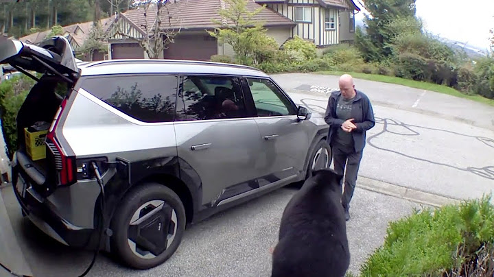 B.C  man has very close encounter with black bear