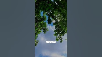 ‎إِنَّ الْمُتَّقِينَ فِي جَنَّاتٍ وَعُيُونٍ#هزاع_البلوشي | #سورة_الحجر.