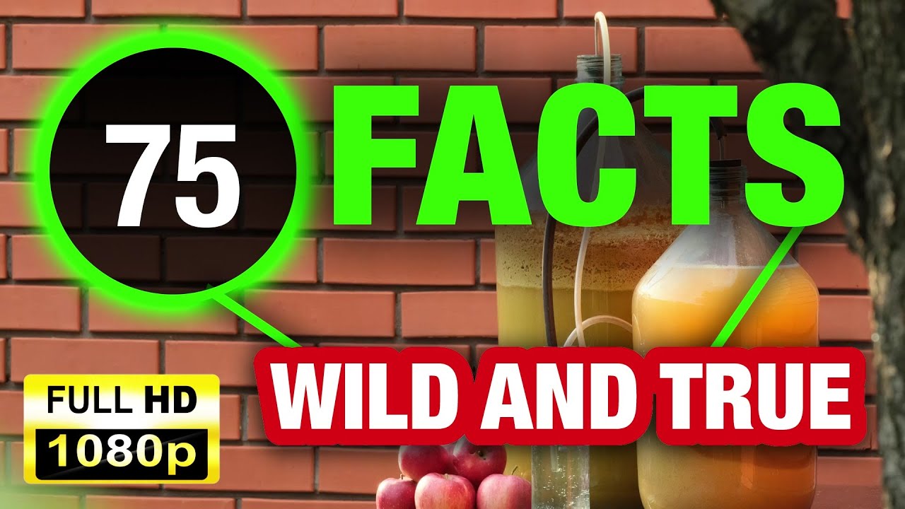 75 Facts That Are Too Interesting to Ignore!