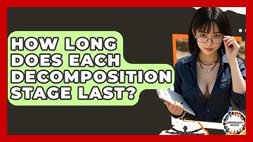 How Long Does Each Decomposition Stage Last? - Anthropology Insights