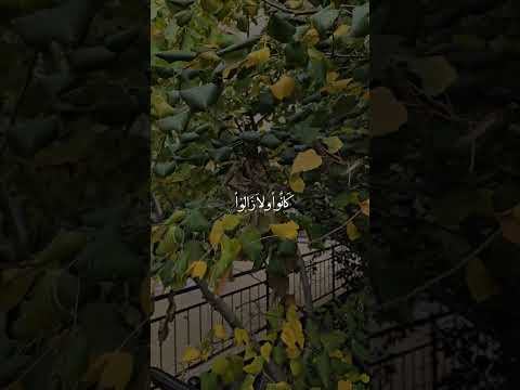 القلب يذكر اخوه القلب