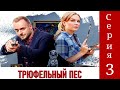 Детективы Анны Малышевой. Трюфельный пес. Фильм 3 / Серия 3 / Детектив HD