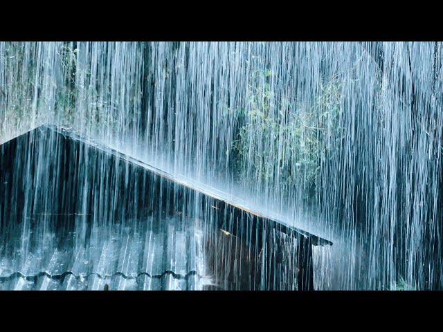 Relax u0026 Fall Asleep In Minutes With Huge Rain On Tin Roof u0026 Powerful Thunder Sounds | White Noise class=