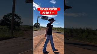 Você sabe por que essa estrada carrega esse nome? 🚛🐂 #rodovia #rondonia #agro