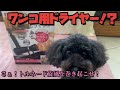 犬猫用ドライヤーを購入しました！これでおうちシャンプーが楽になるかな？