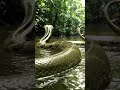 snake in amazon river 😯😯 #ai #wildlife #youtubeshort #shorts #amazing #snake #water #viralshort