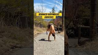 Bodyweight Training App 🔥 400+ Workouts From Beginner to Advanced. LeoMoves