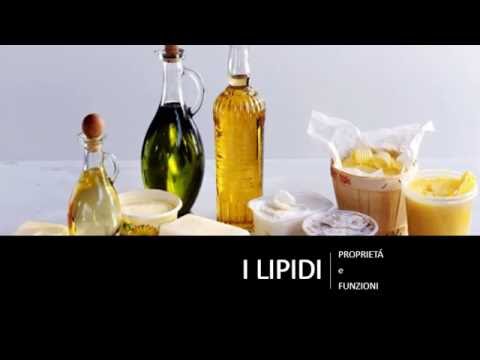 Funzioni dei lipidi