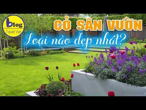 Video: Loại Cỏ Trong Nhà - Loại Cỏ Tốt Nhất Để Trồng Trong Nhà