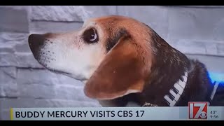 Buddy Mercury On Cbs News Aroo!