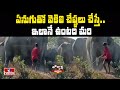 Man beats elephant in a herd with stick, video goes viral