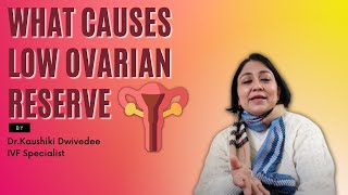 Ovarian Reserve Tests: How Many Eggs Do You Have Left?