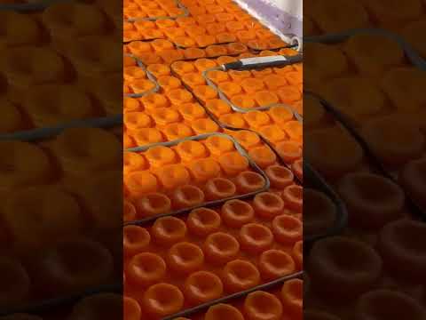 Video: Instalarea de către dvs. a unei podele calde sub o gresie