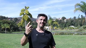 4 técnicas para você aprender a PROGRAMAR qualquer coisa (ou em qualquer LINGUAGEM)