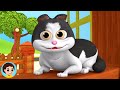     meow meow billi karti hindi rhymes and poems for babies