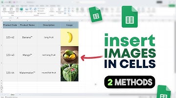 How to Insert Image in Excel Cell (correctly)