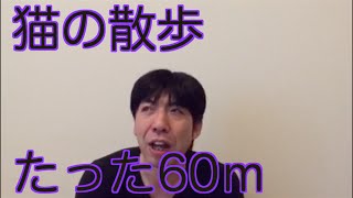猫の散歩たった60メートル