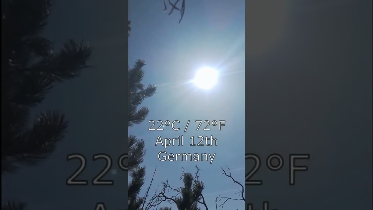 Baking Baguette With DIY Solar Cooker / Parabolic Mirror 