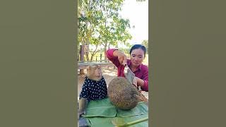 Best Video Best Video Of Animals SokYaa , Phao And ToTo Are Harmony and Fun WILL MAKE YOU SMILE