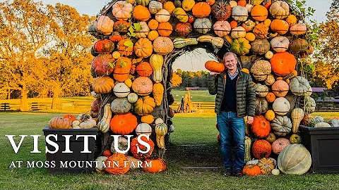Moss Mountain Farm Fall Tour