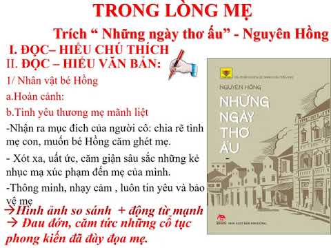 Ngữ văn 8 - Trong lòng mẹ