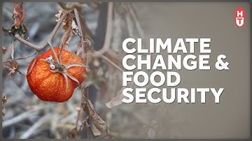 Climate Change and Our Food Supply