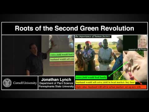 "Roots of the Second Green Revolution" - Jonathan Lynch, Penn State