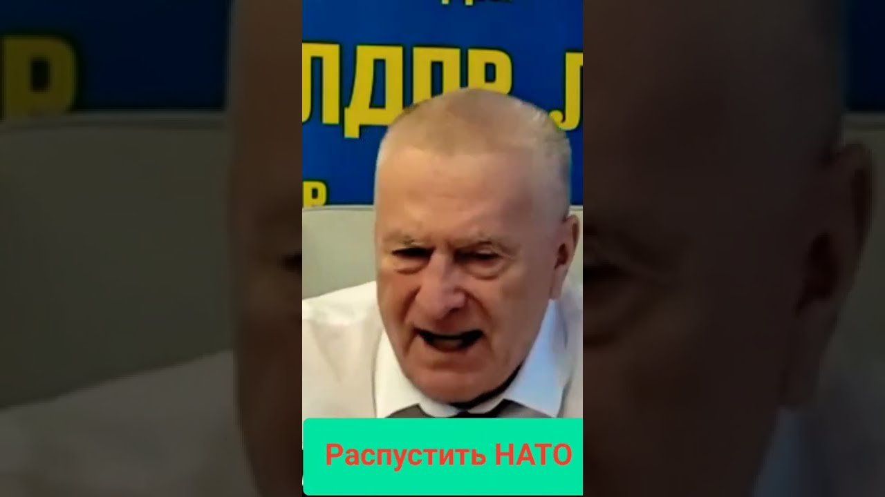 Жириновский о нато. Жириновский НАТО. Жириновский НАТО распадётся.